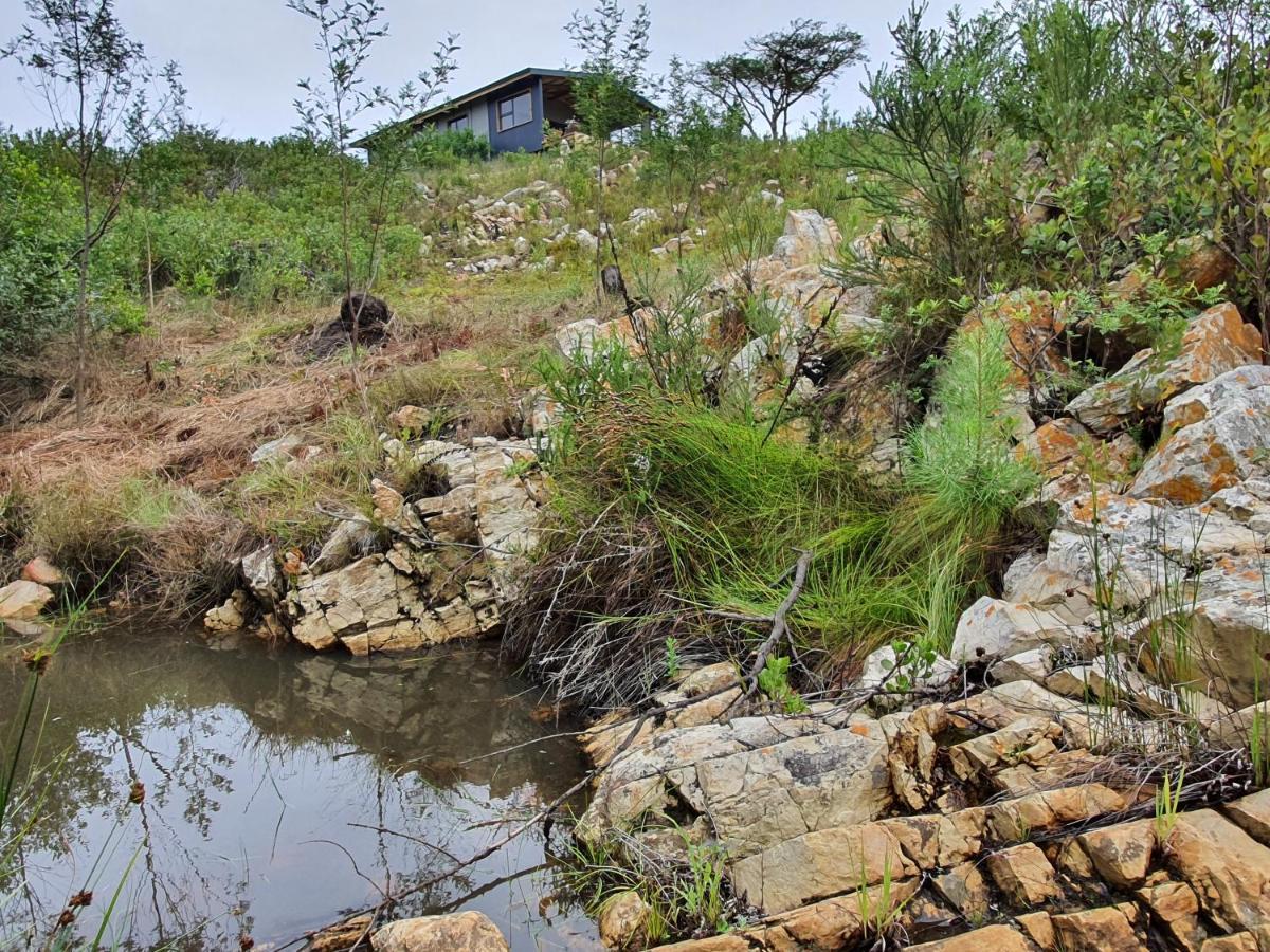 Caracal Cottage Plettenberg Bay Exterior foto